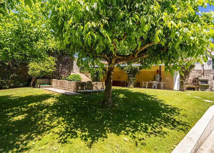 Casa De Silvares Fafe - Moradia Premium Com Piscina By House And People